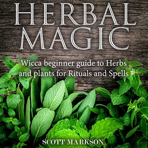 Unlock the power of protection with these Wicca herbs